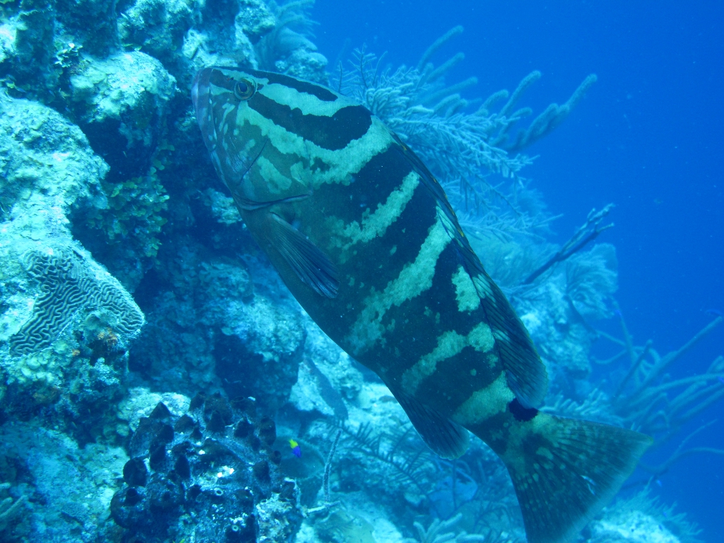 IMG_0153 (1) IMG_0153 (1)